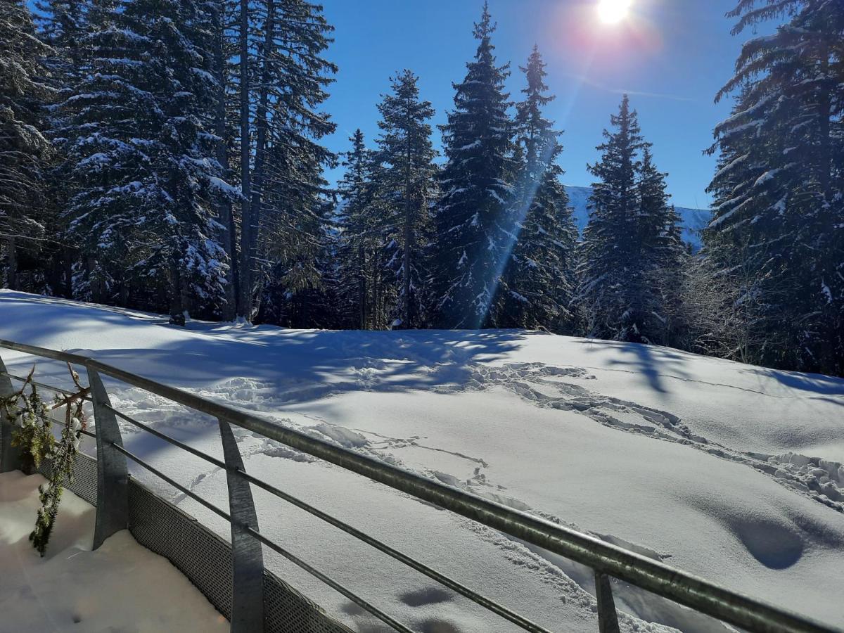 La Petite Foret Chamrousse 1700 Exterior foto
