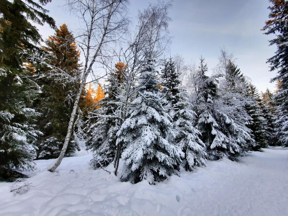 La Petite Foret Chamrousse 1700 Exterior foto